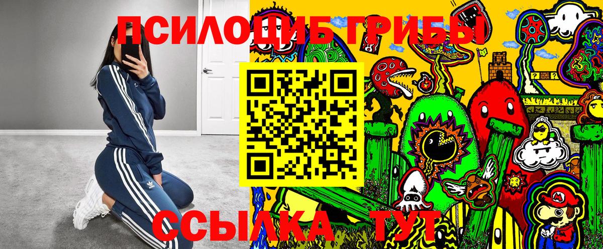 Псилоцибиновые грибы Psilocybe  Вход с VPN  Ирбит  Псилоцибиновые грибы Cubensis 