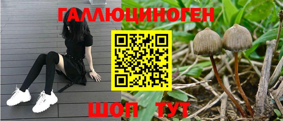 Галлюциногенные грибы ЛСД Ирбит
